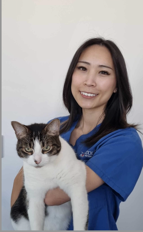 Colyton Veterinary Hospital